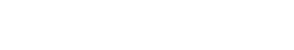 Ellis Porter, The Immigration Attorneys